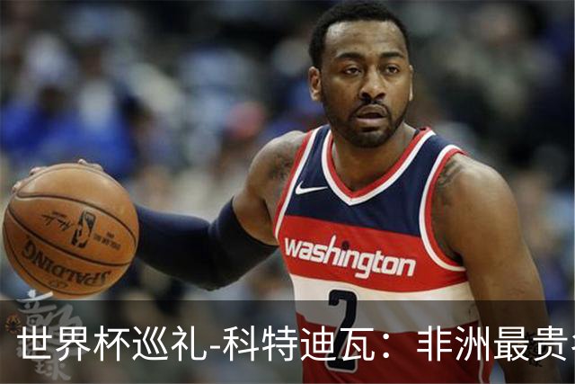 世界杯巡礼-科特迪瓦：非洲最贵名不虚传，第三名专业户该破茧了